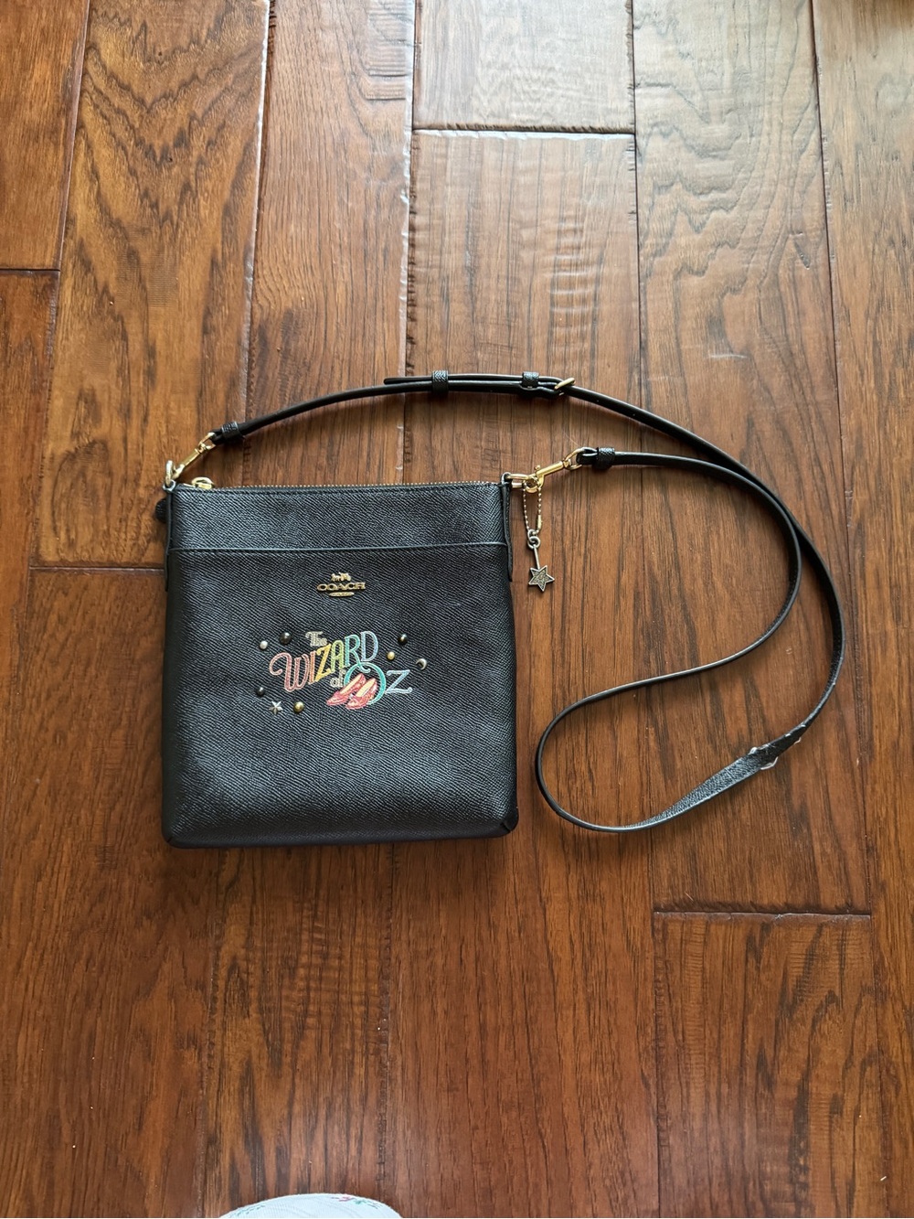 Coach Wizard of Oz crossbody
